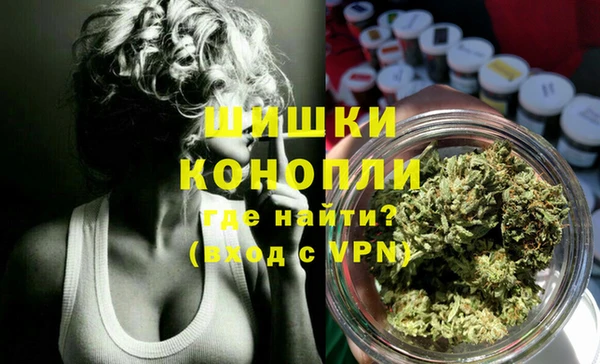ПСИЛОЦИБИНОВЫЕ ГРИБЫ Гусев