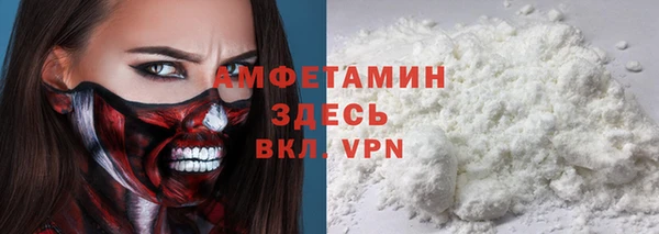 ПСИЛОЦИБИНОВЫЕ ГРИБЫ Гусев