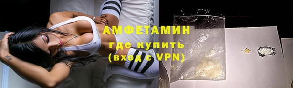 ПСИЛОЦИБИНОВЫЕ ГРИБЫ Гусев