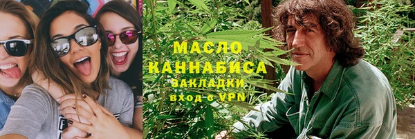ПСИЛОЦИБИНОВЫЕ ГРИБЫ Гусев