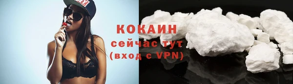 ПСИЛОЦИБИНОВЫЕ ГРИБЫ Гусев