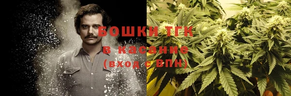 ПСИЛОЦИБИНОВЫЕ ГРИБЫ Гусев