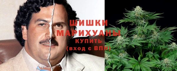 ПСИЛОЦИБИНОВЫЕ ГРИБЫ Гусев