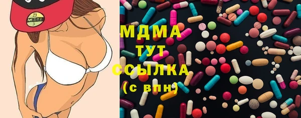 ПСИЛОЦИБИНОВЫЕ ГРИБЫ Гусев