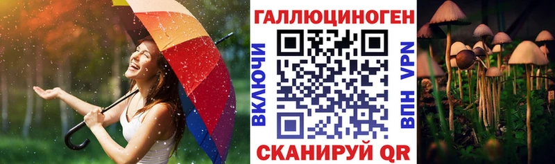 сайты даркнета наркотические препараты  продажа наркотиков  Раменское  Галлюциногенные грибы прущие грибы 
